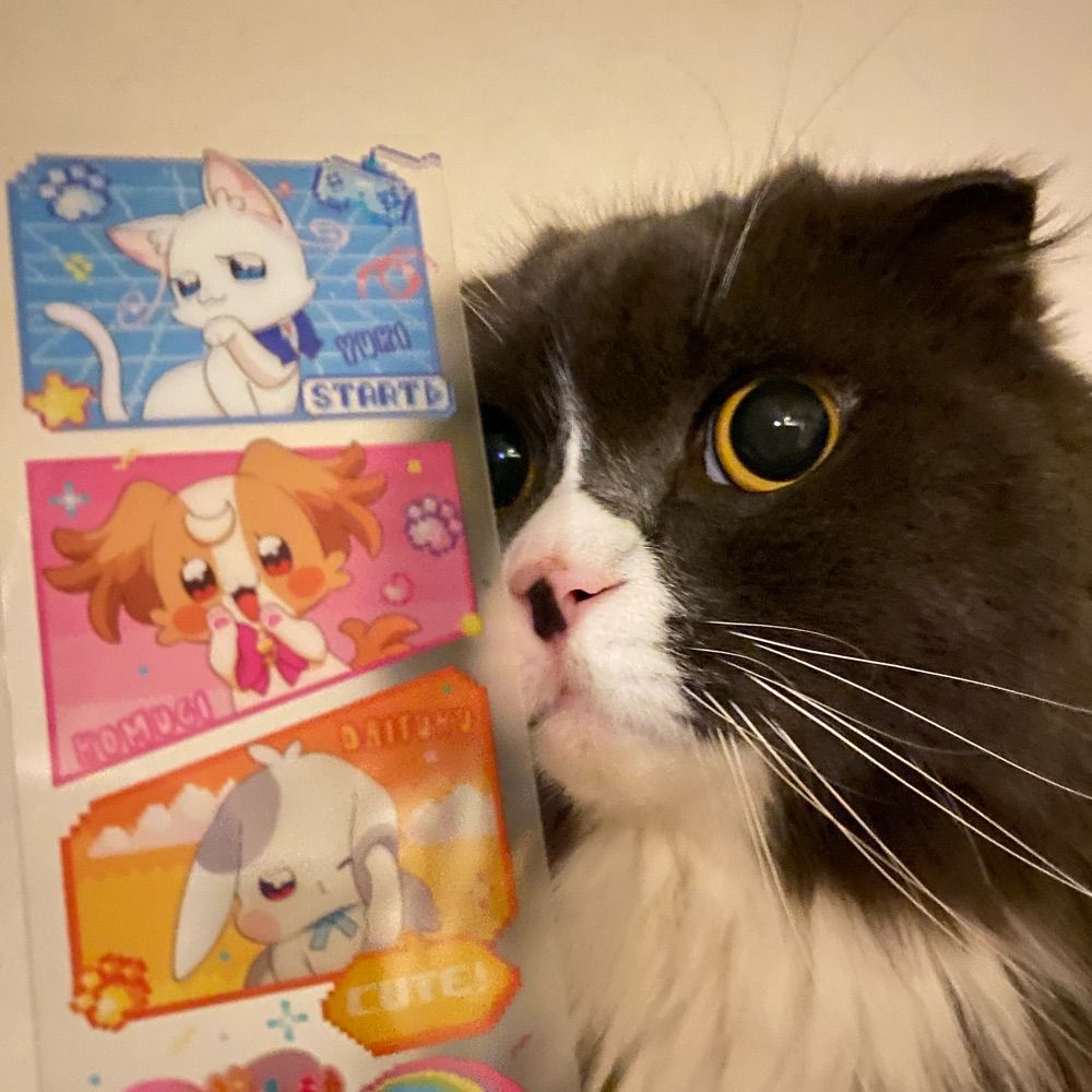 おもち