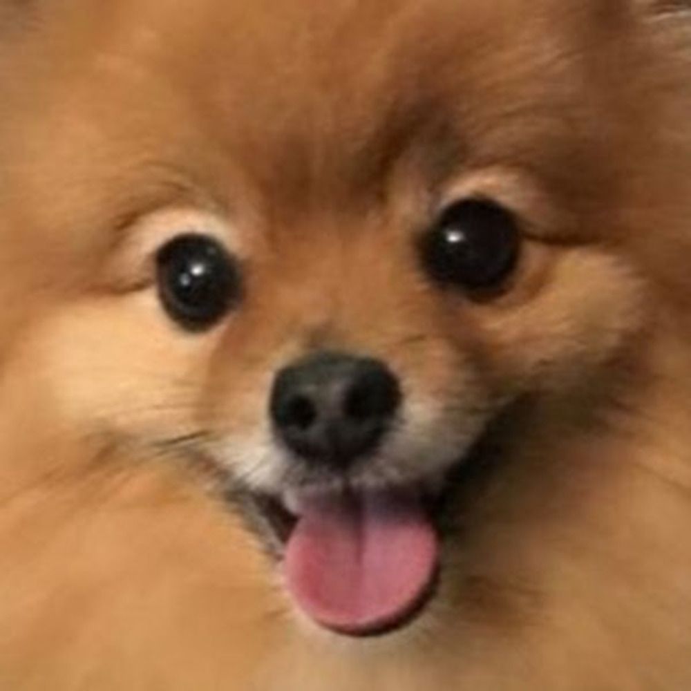 Bim