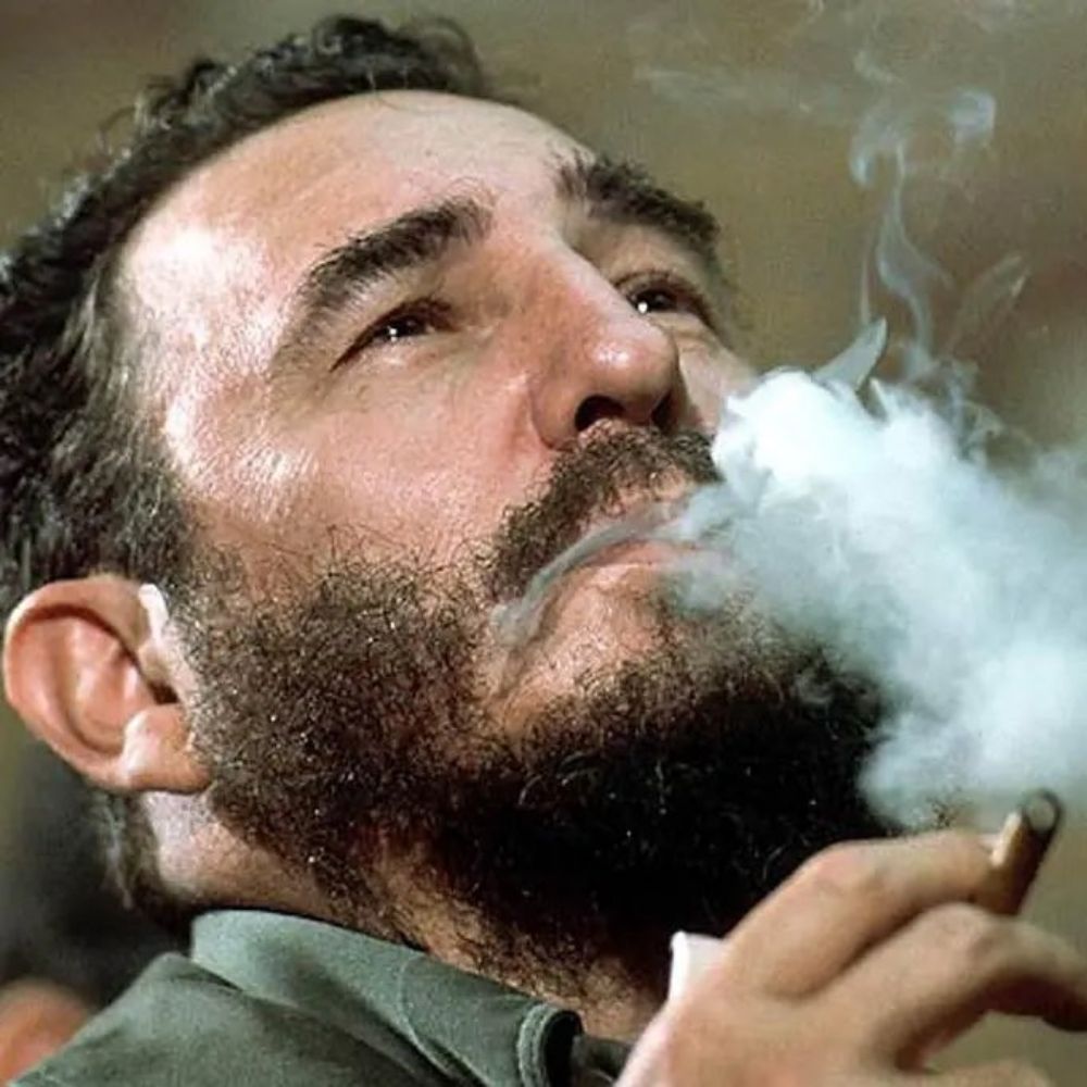 BarryDuck 🇮🇪🇵🇸🇨🇺✊