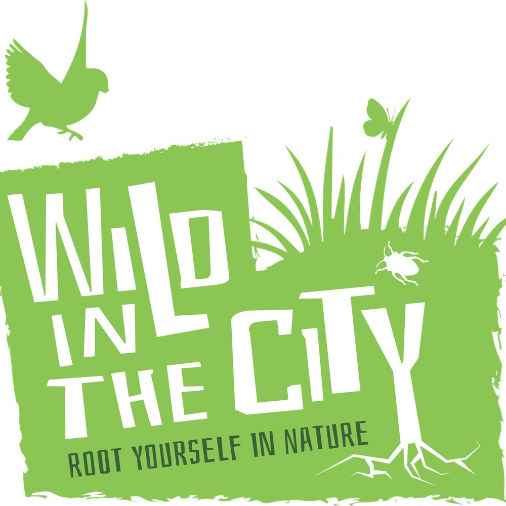 Wild in the City