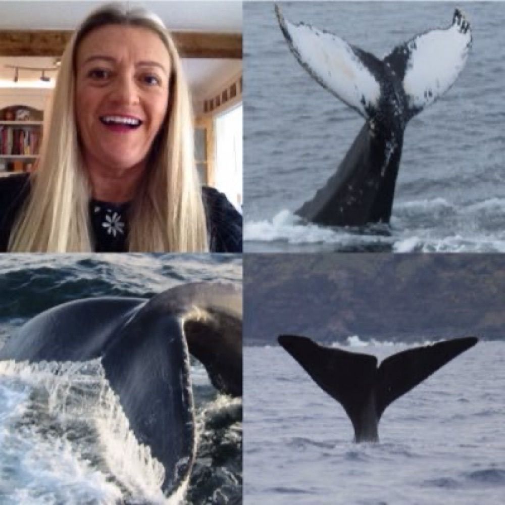 Sandra Smith 🐋🐈‍⬛🎶😻😹🦜