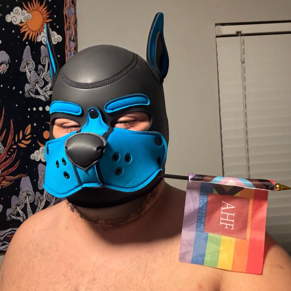 Pup Shark 🦈