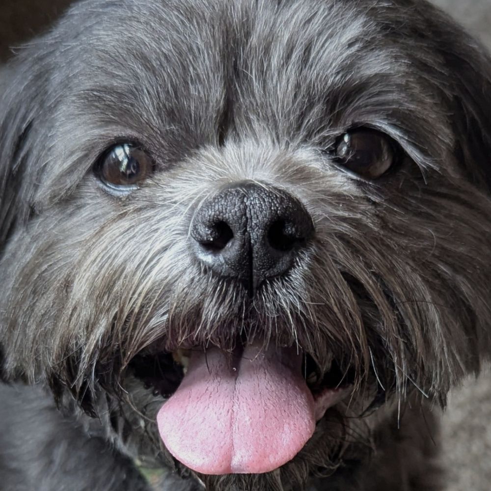 Garth Woofs