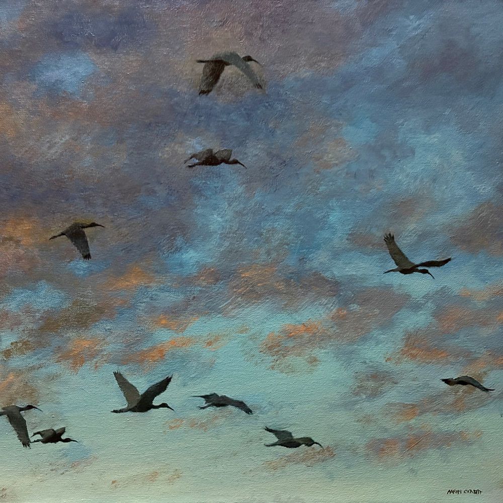 Aaron Corbitt