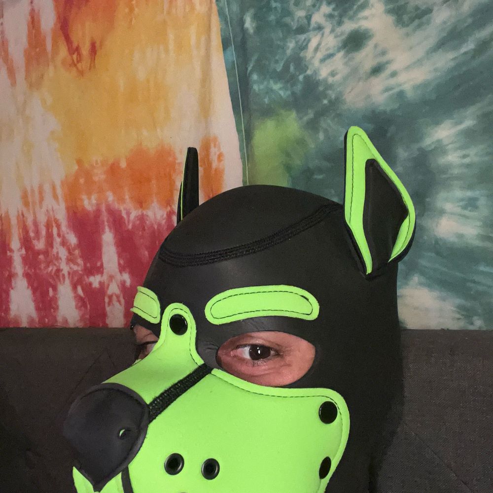 Omega Pup Aurora