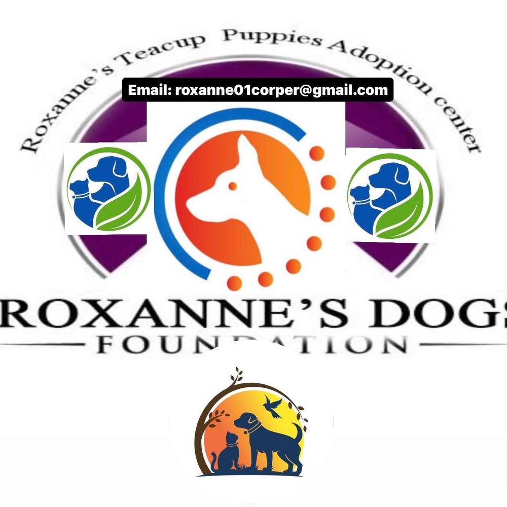 Roxanne’s Teacup Puppies Adoption Centre