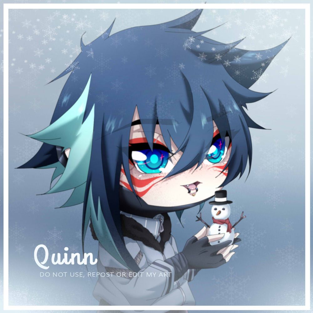 Quinn（っ＾▿＾）