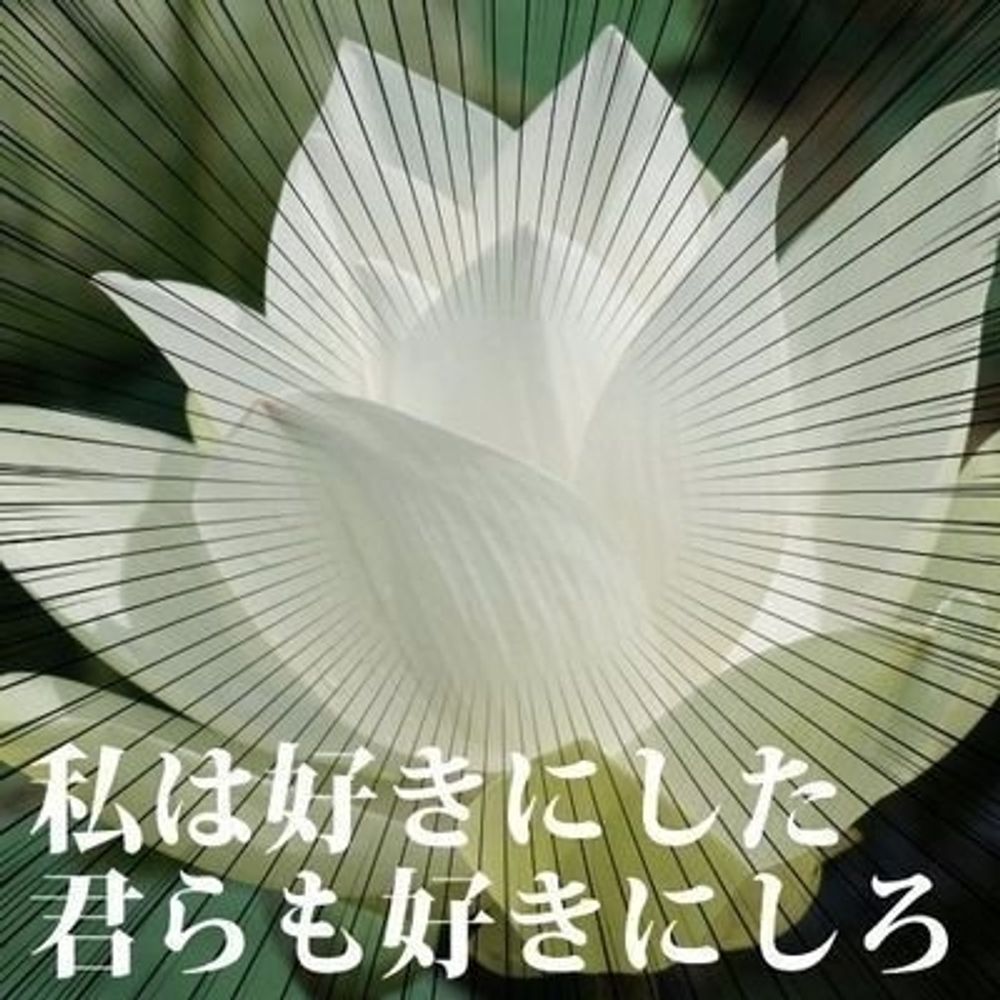 ルルフ