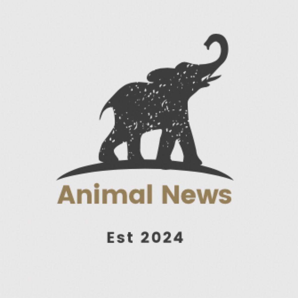 Profile picture animalnews.bsky.social