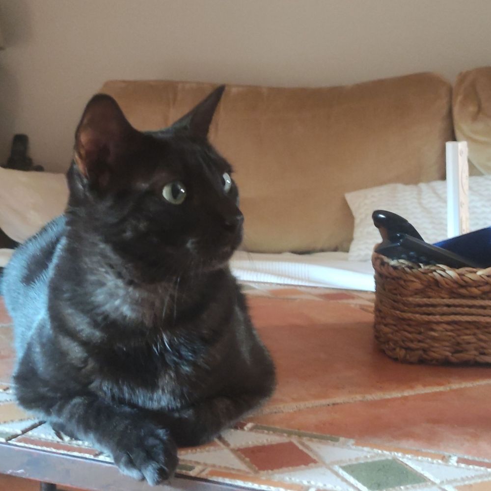 Víctor is Baba