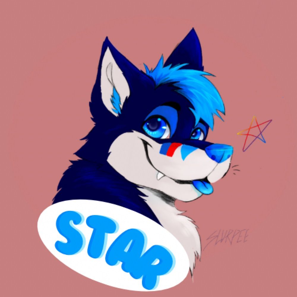 Star The Blue Dawg