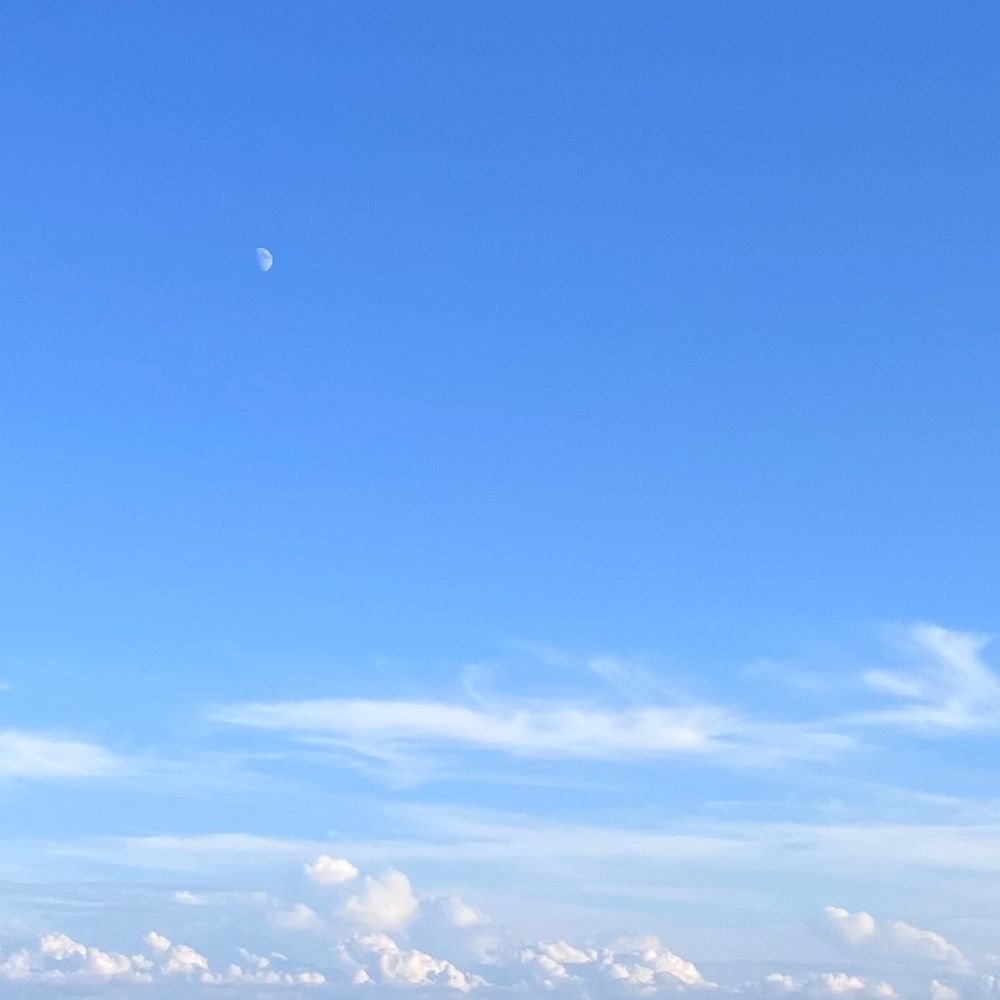 浅葉