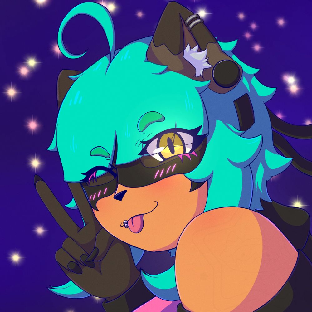 Tunie The Raccoonie