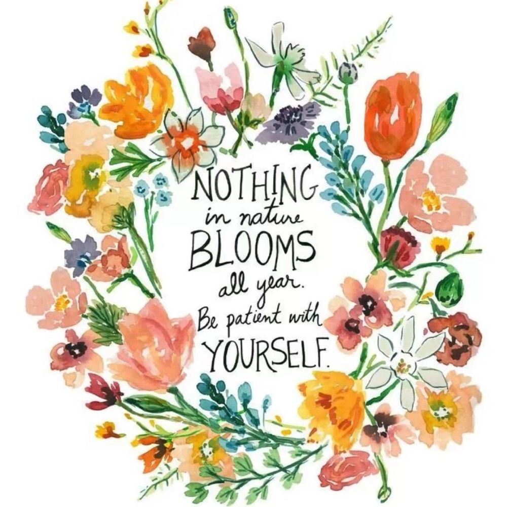 A | 🌻🌸🌼🌷