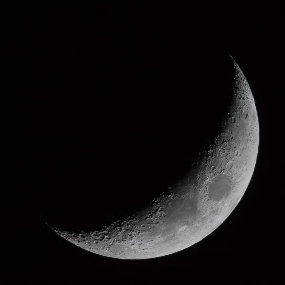 B 🌙