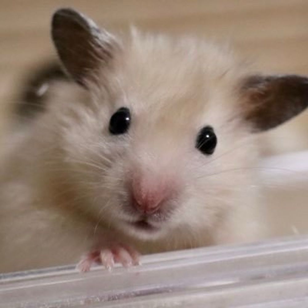 ふくまる