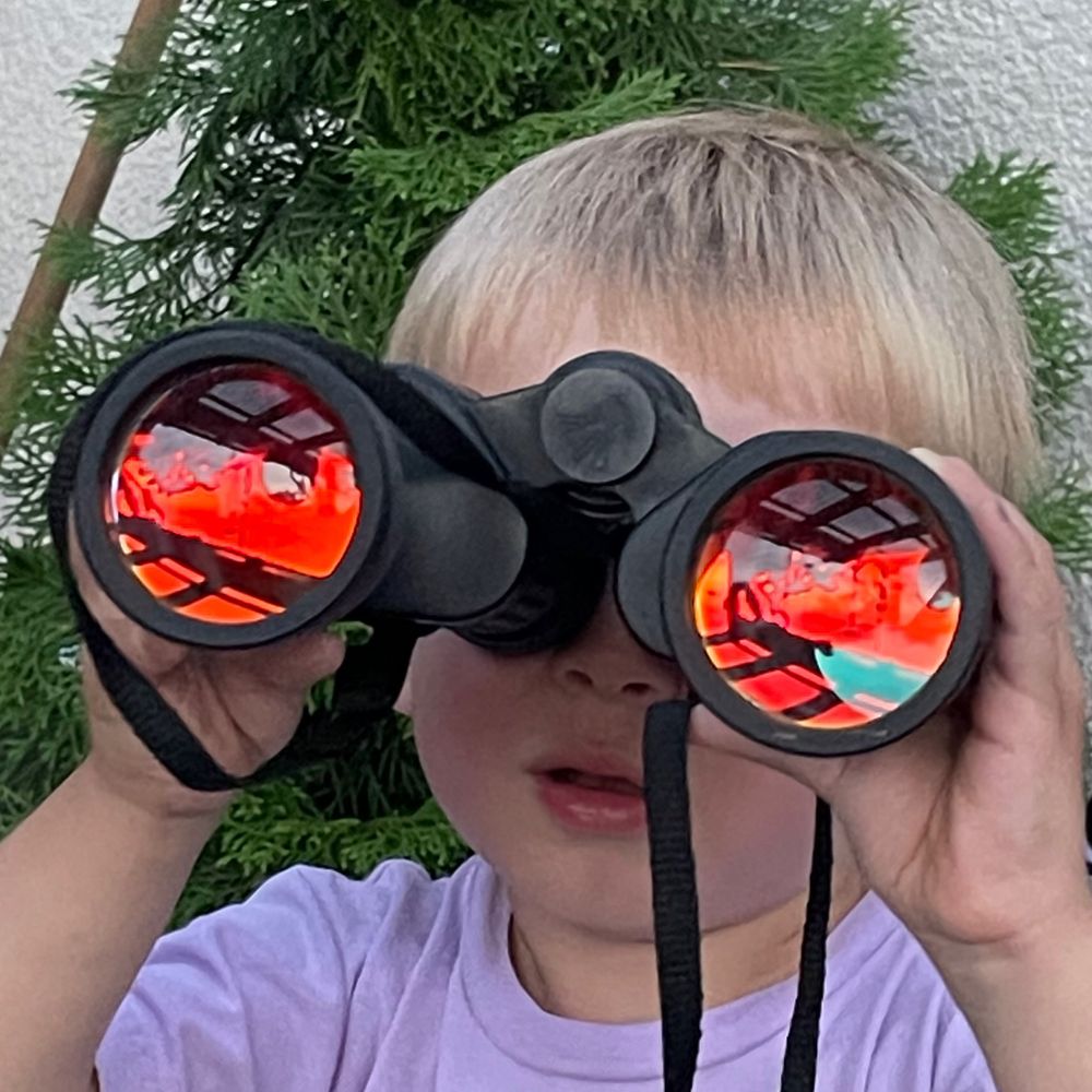 Ms Stereoblind 