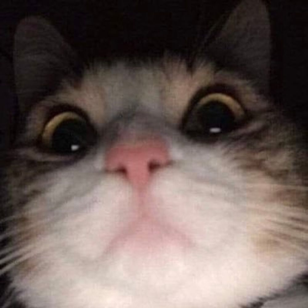 nat