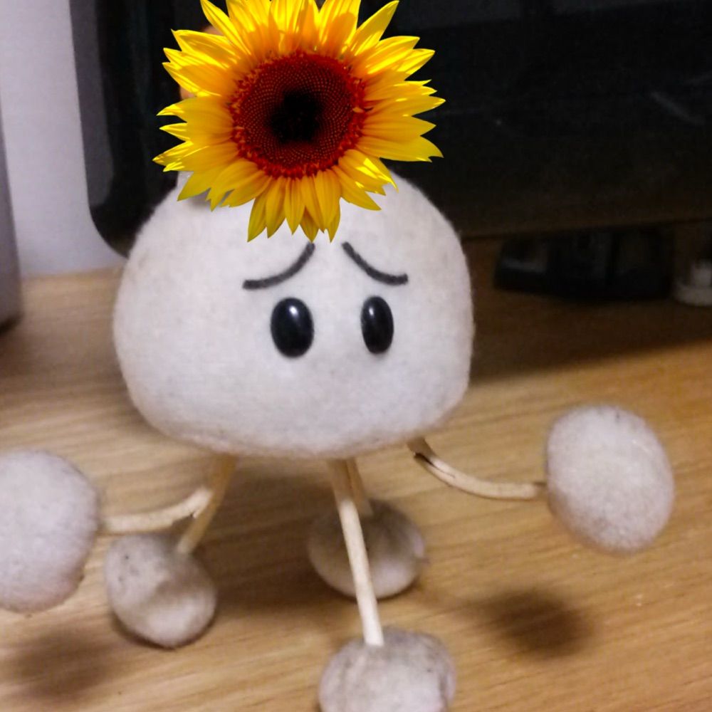 asianhimawari.bsky.social