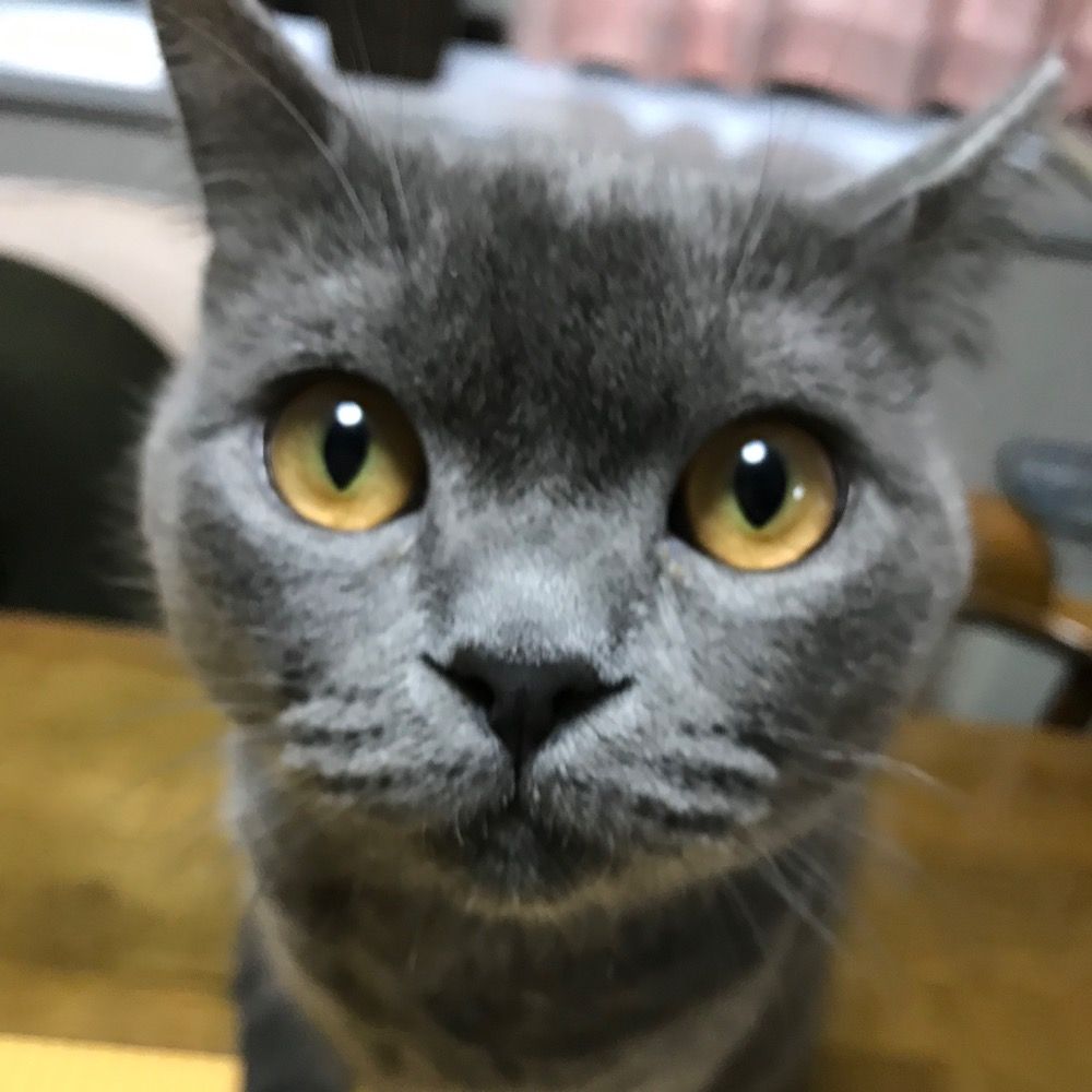 しんちろ