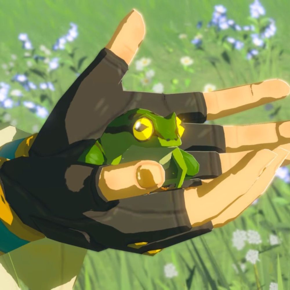 🌿행꾜🌱