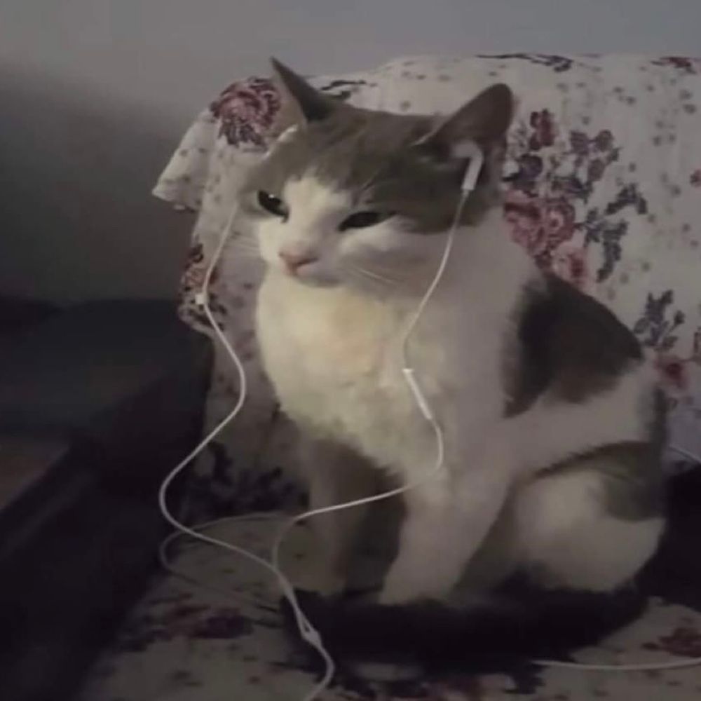 𝙲𝚊𝚝