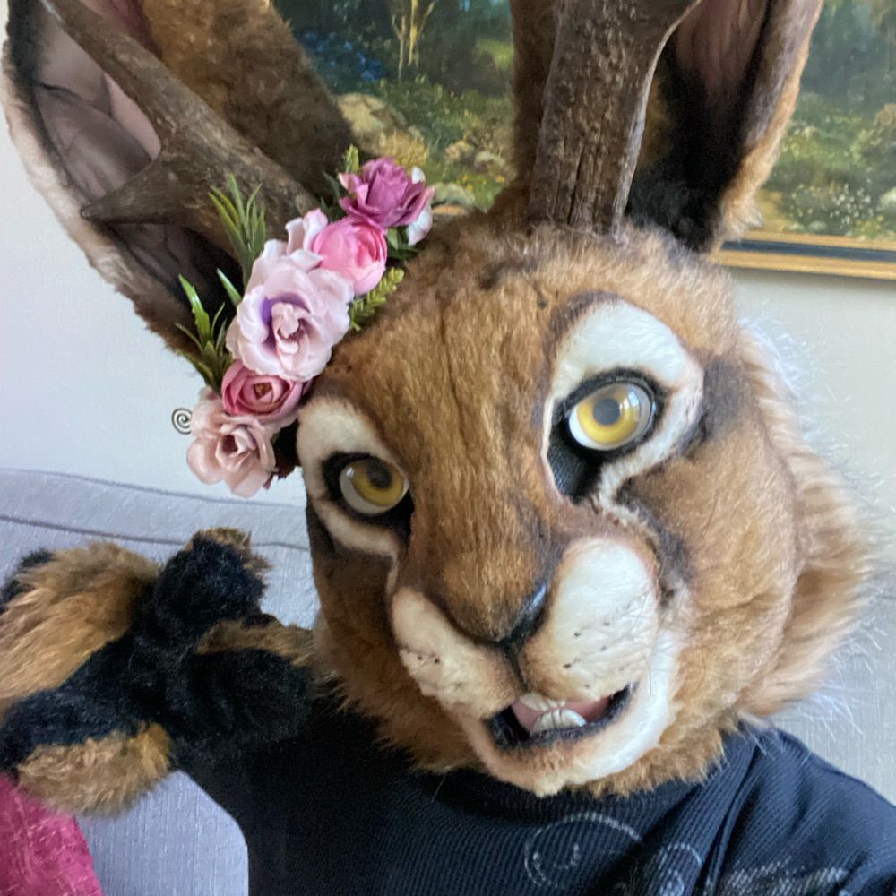 🌸 Freya 🌸