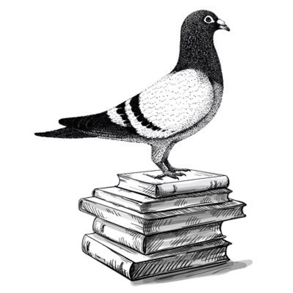 Pigeon Pages