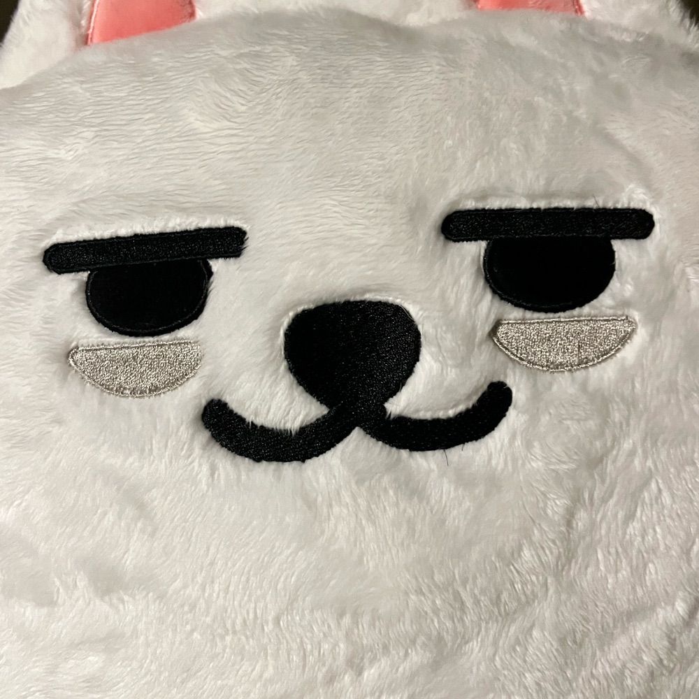 ᯓ✦ binbamgyuuuu