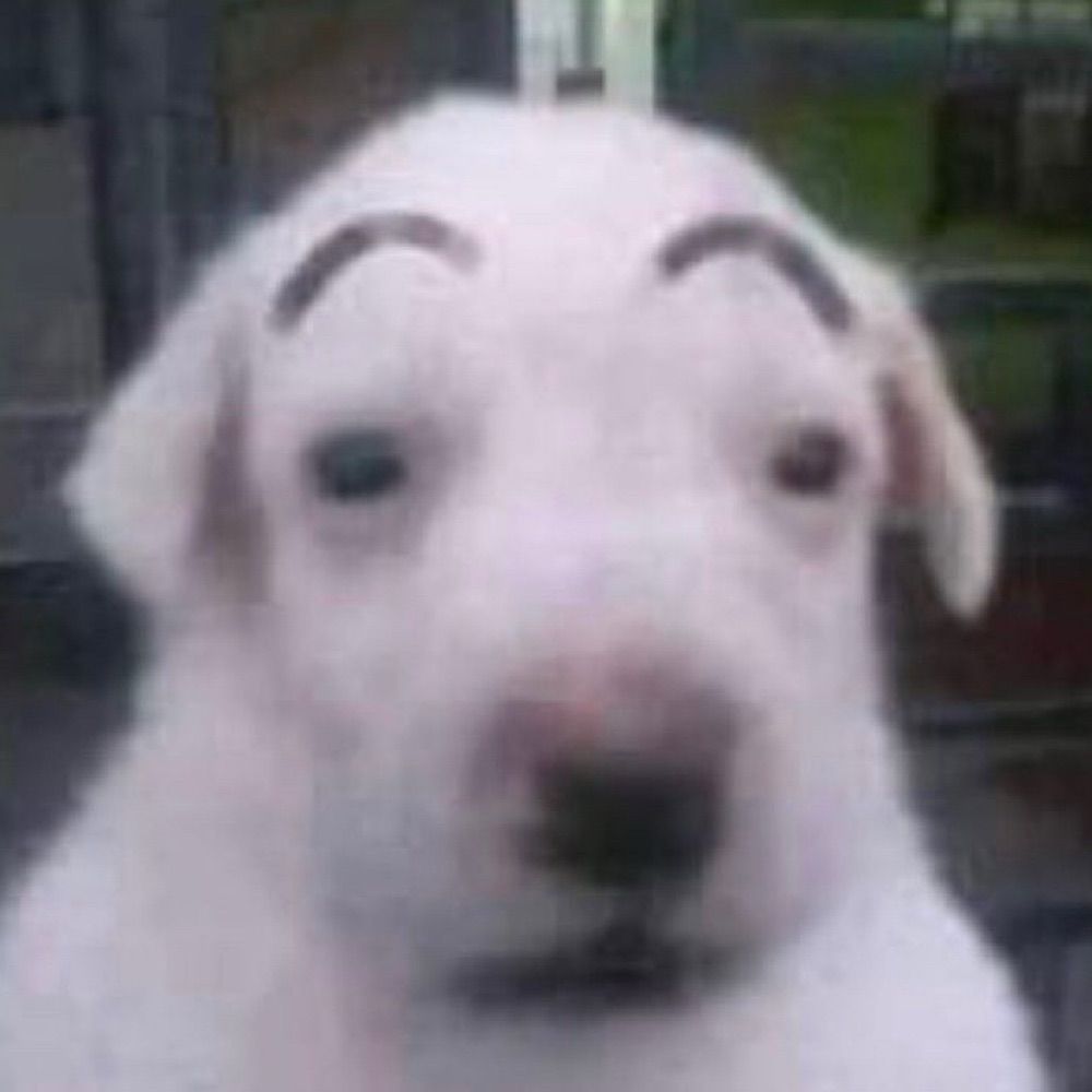이현파