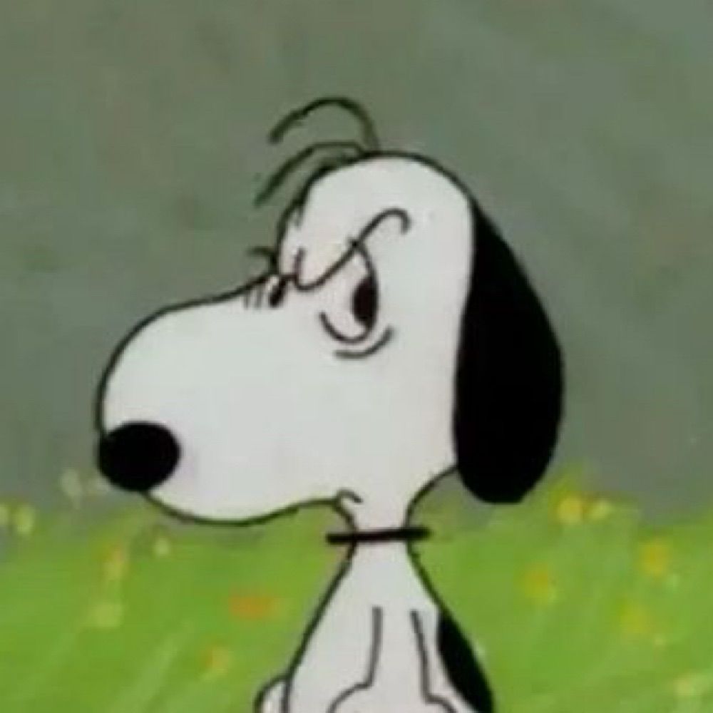 User avatar