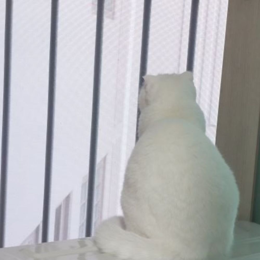 슈룹
