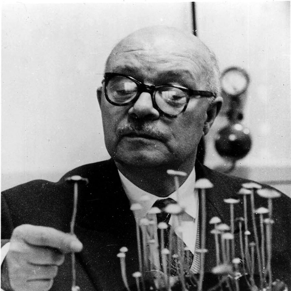 Vincent B.