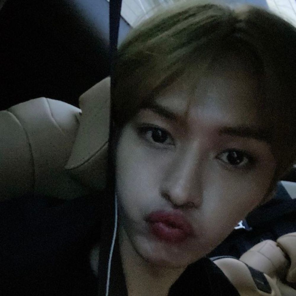 elly | ✦
