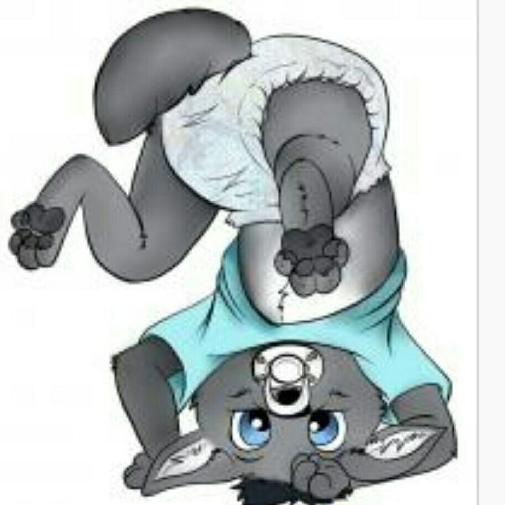 Wolfie8019