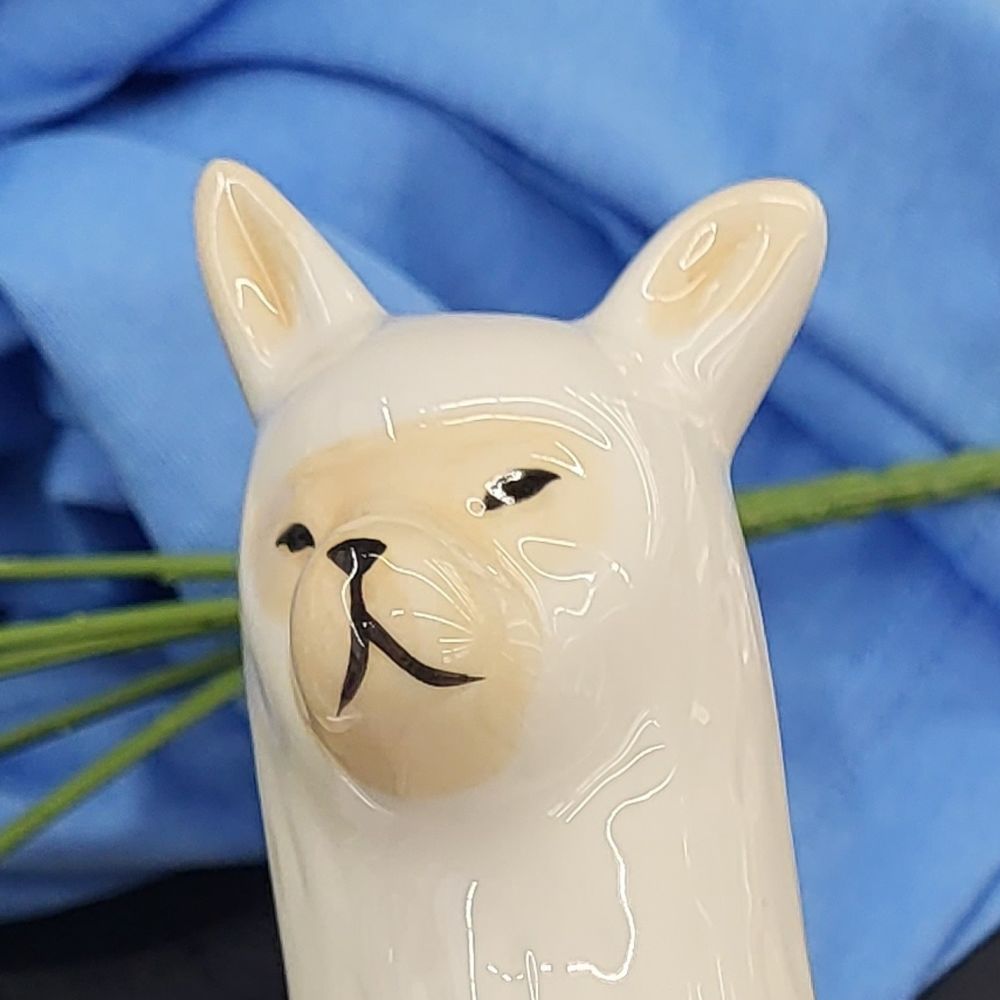 BlubberNibble