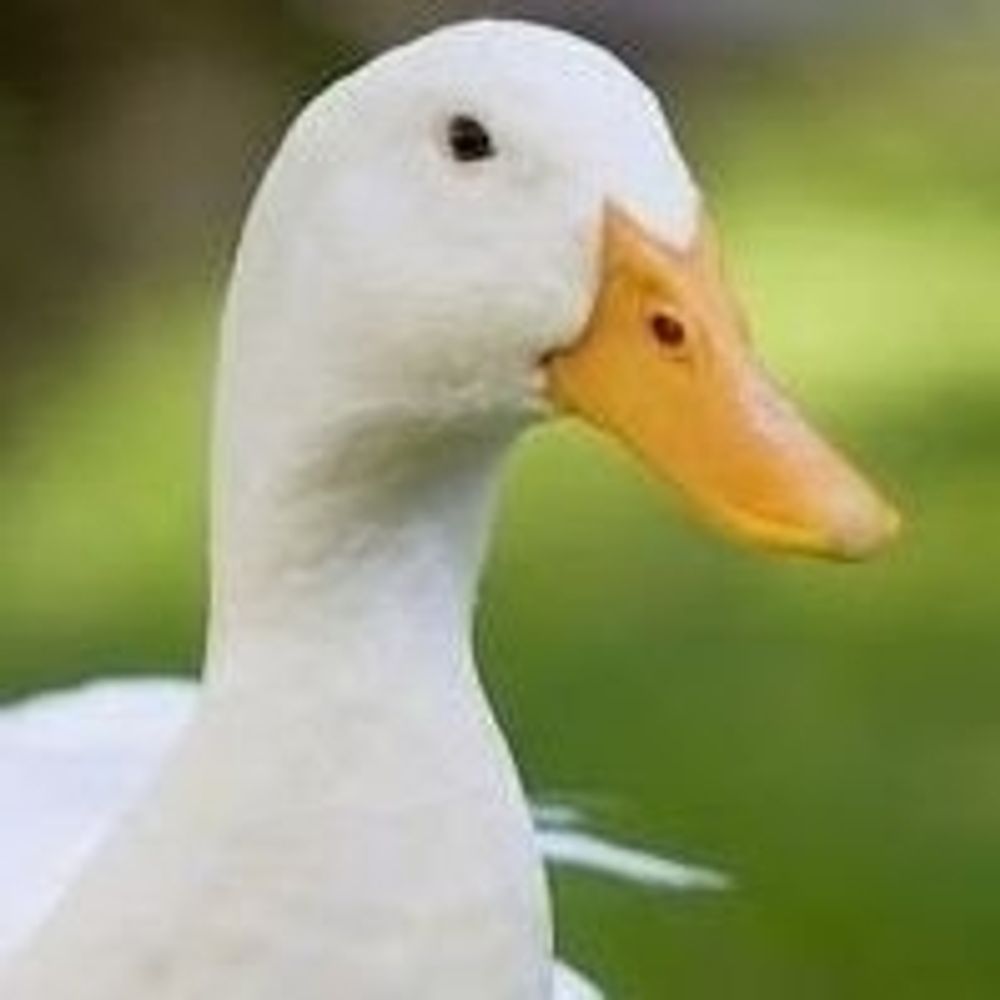 꽊