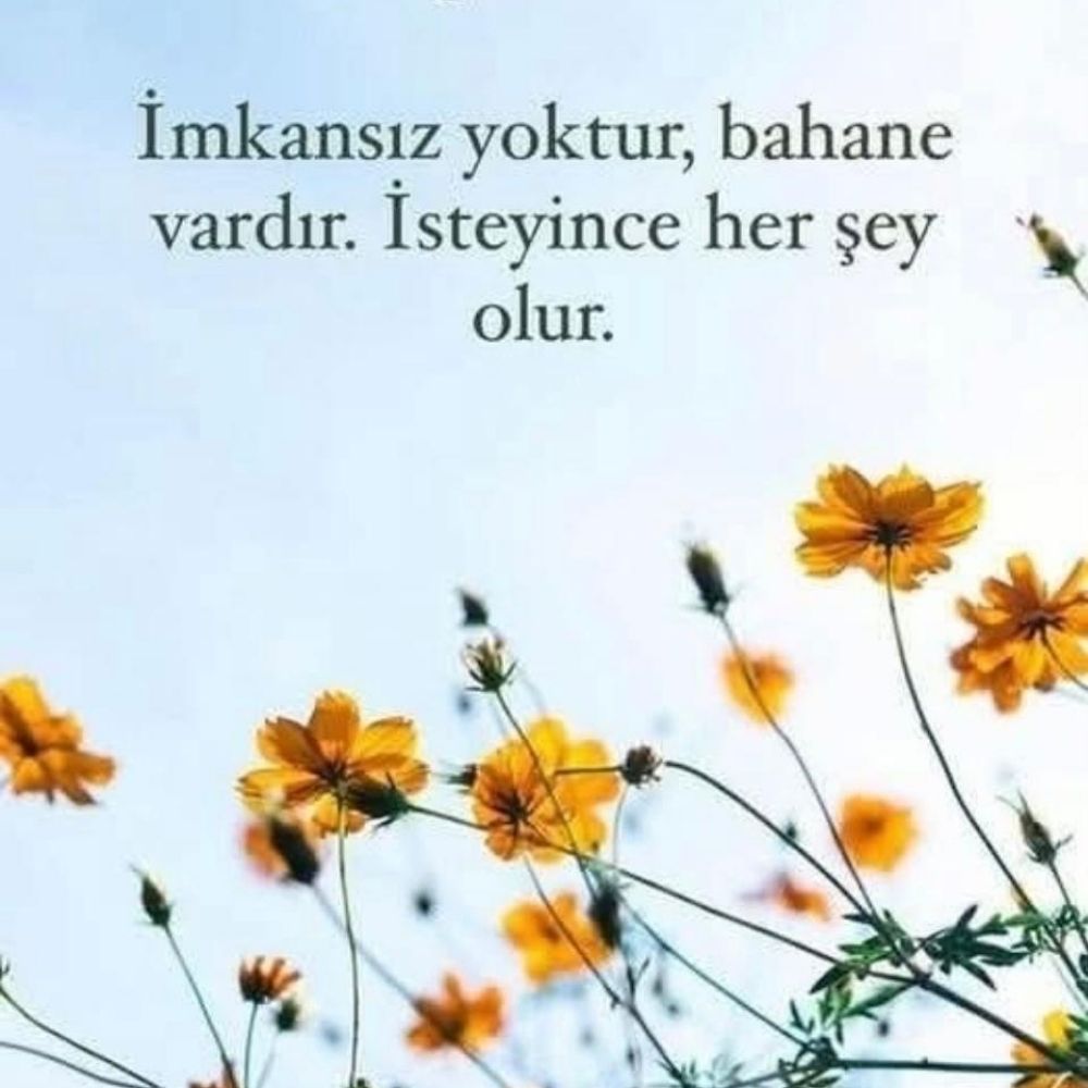 Hayriye
