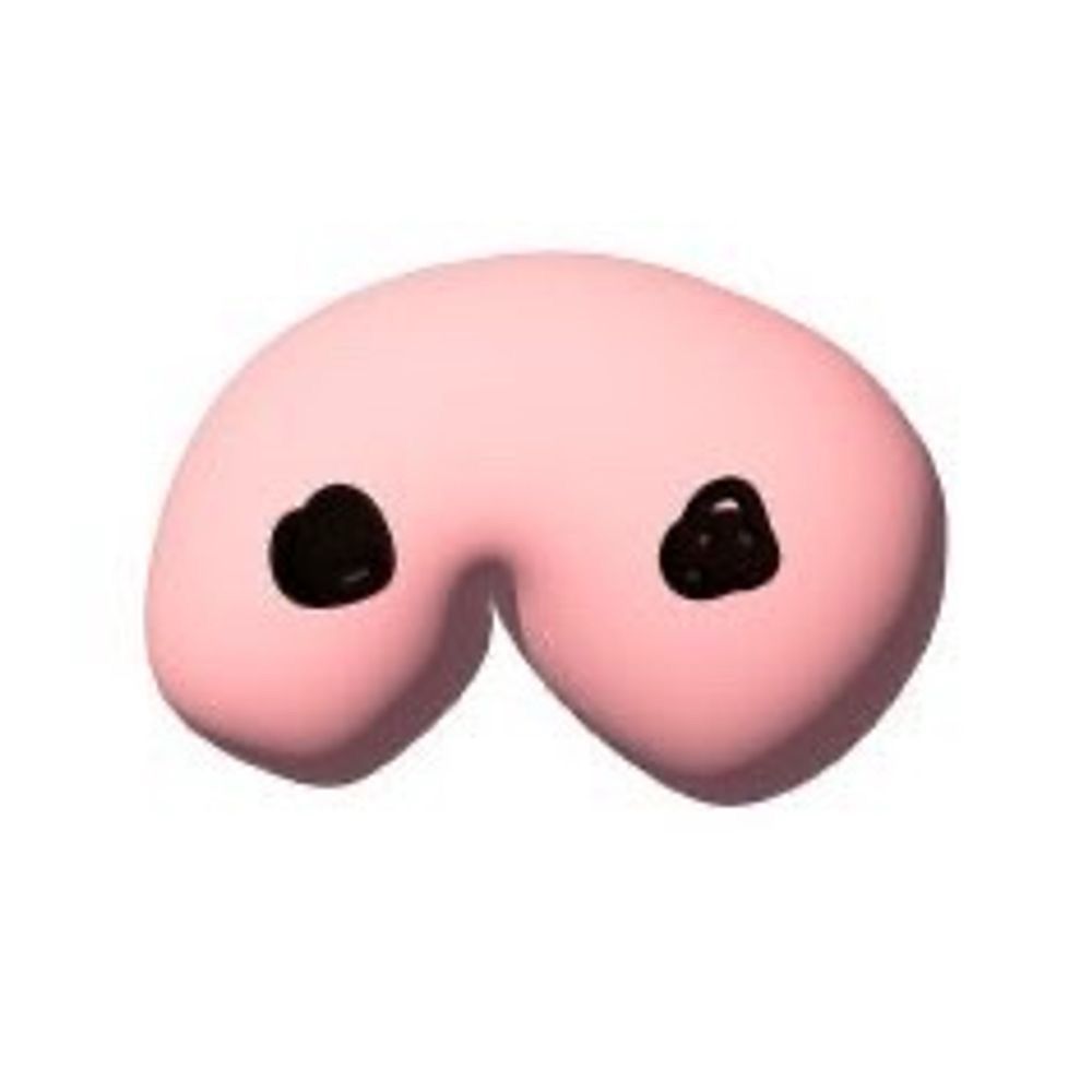 ツネヨシ