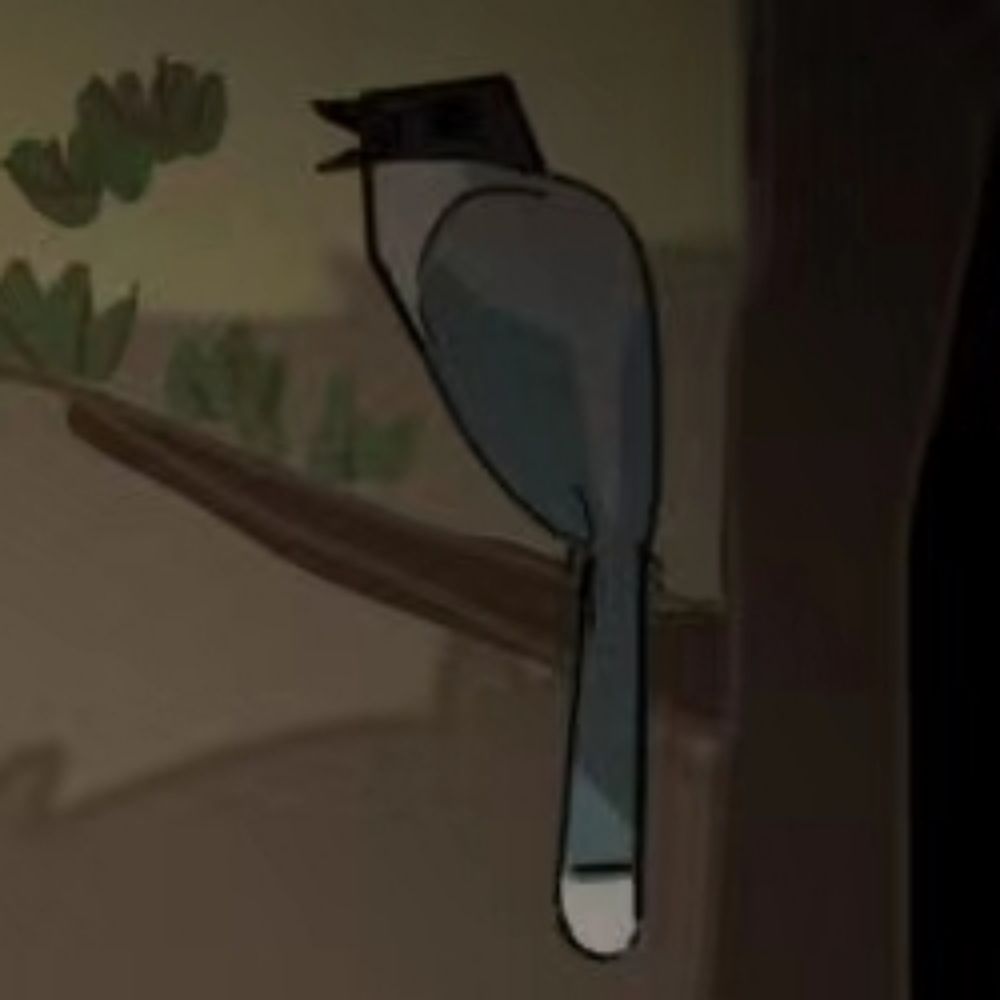 Beach-Crow