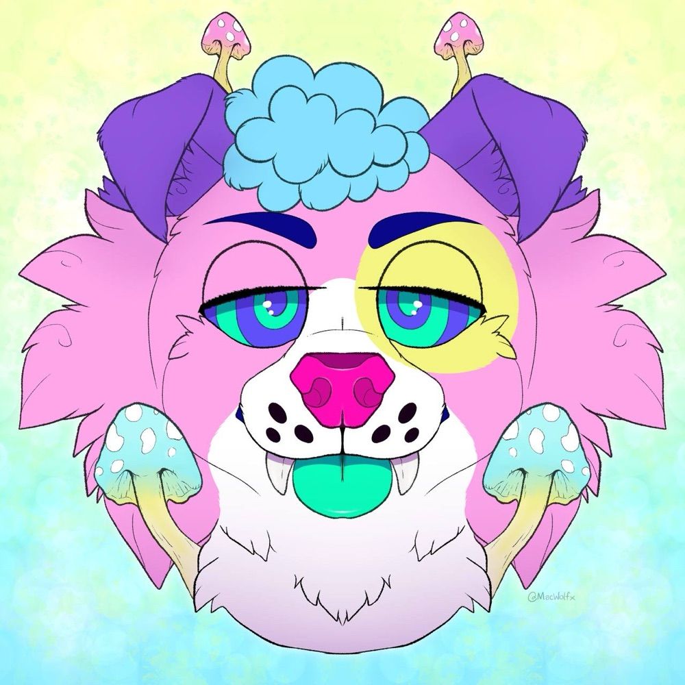 Arf arf pubby brain | music enjoyer | loving puppy