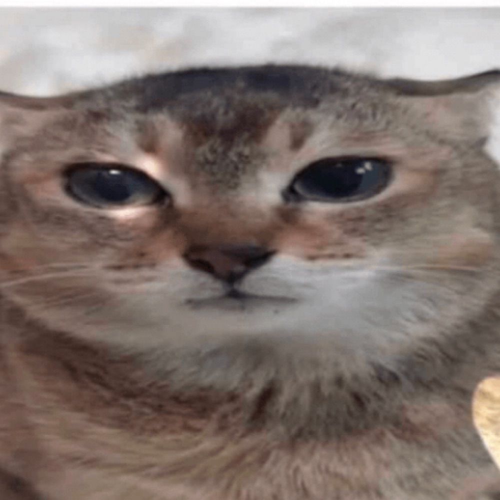 Coʋkie