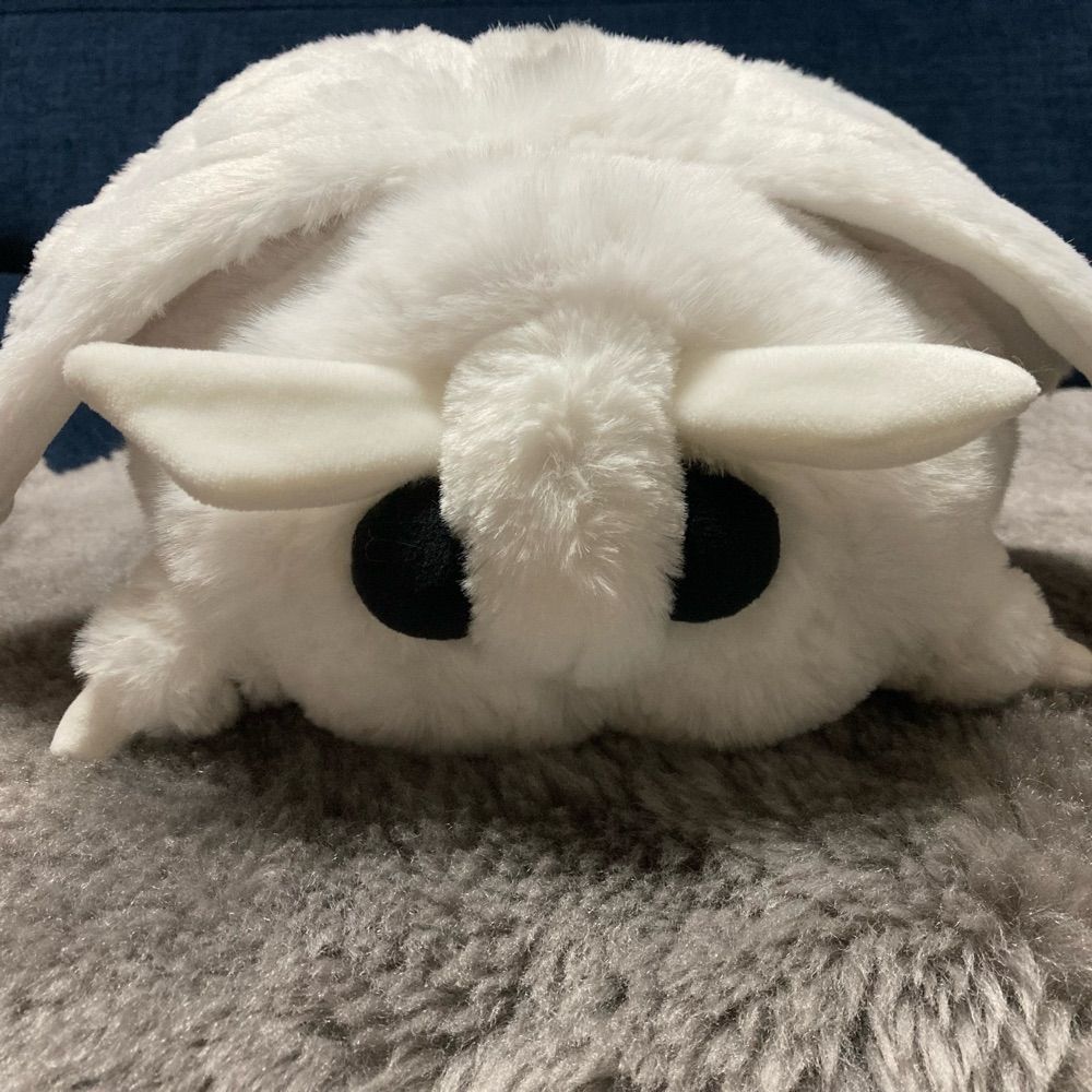 まめもち