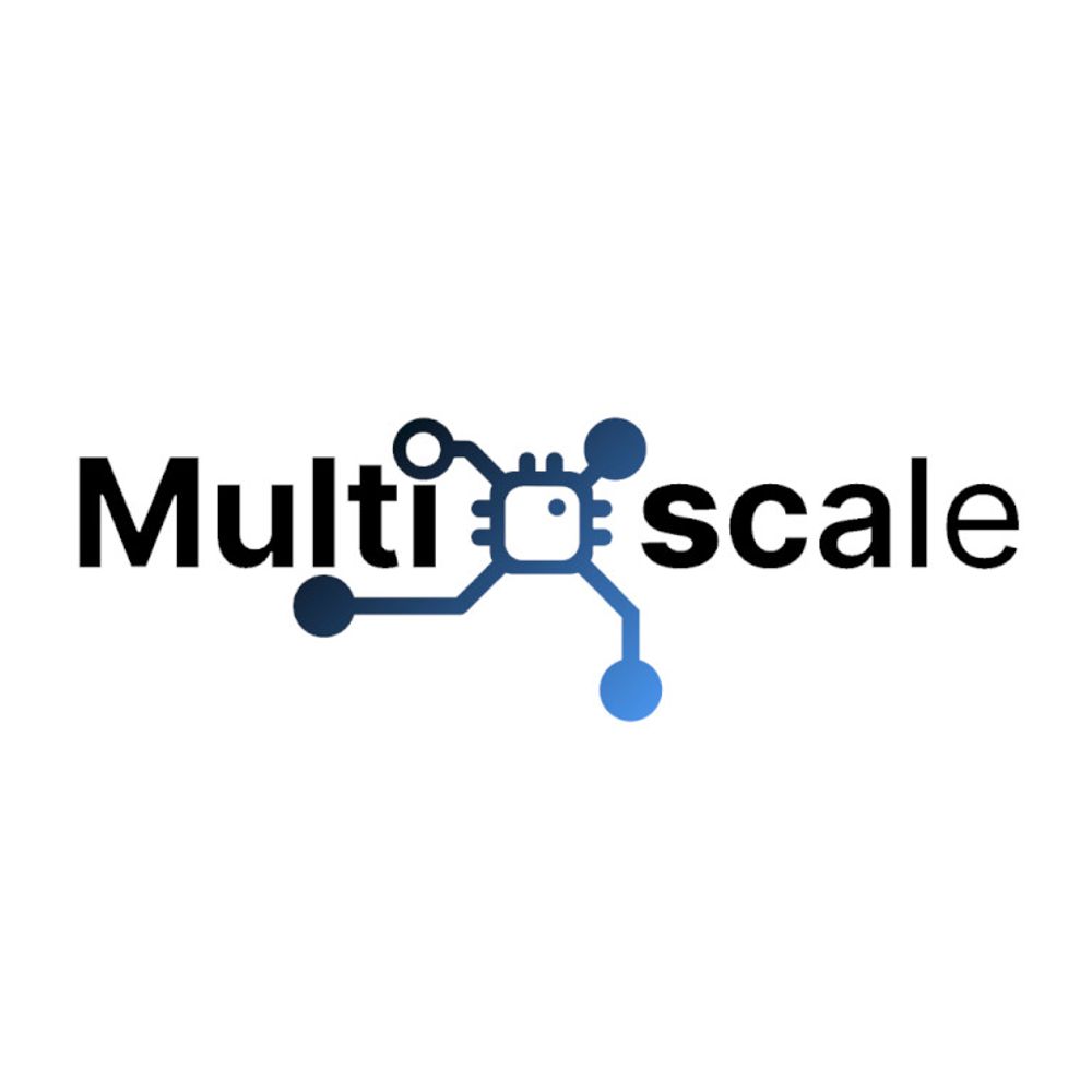 MultiXscale