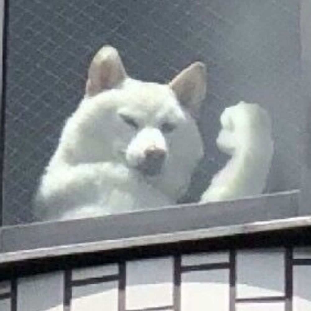 みゆきち