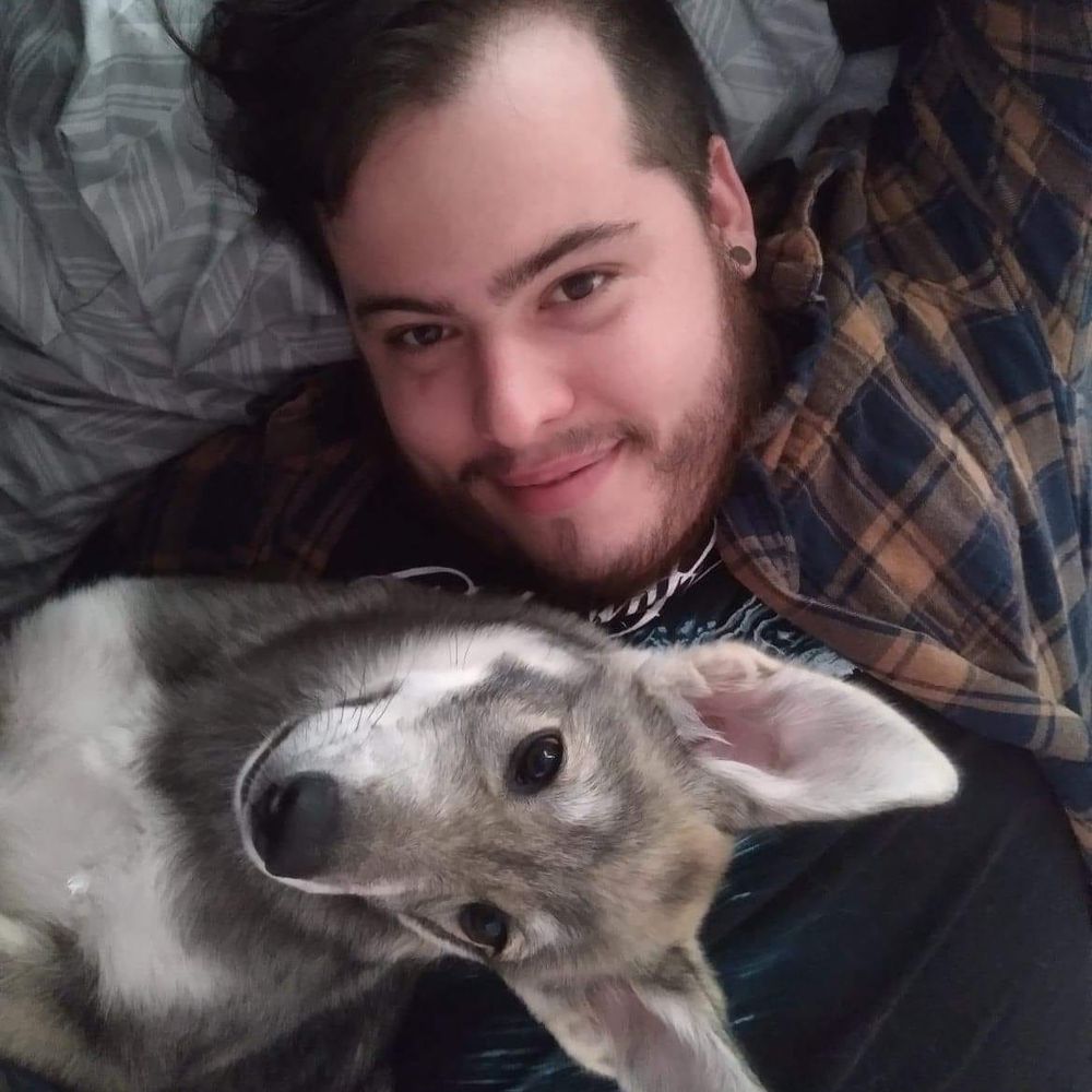 Matt Wodhams
