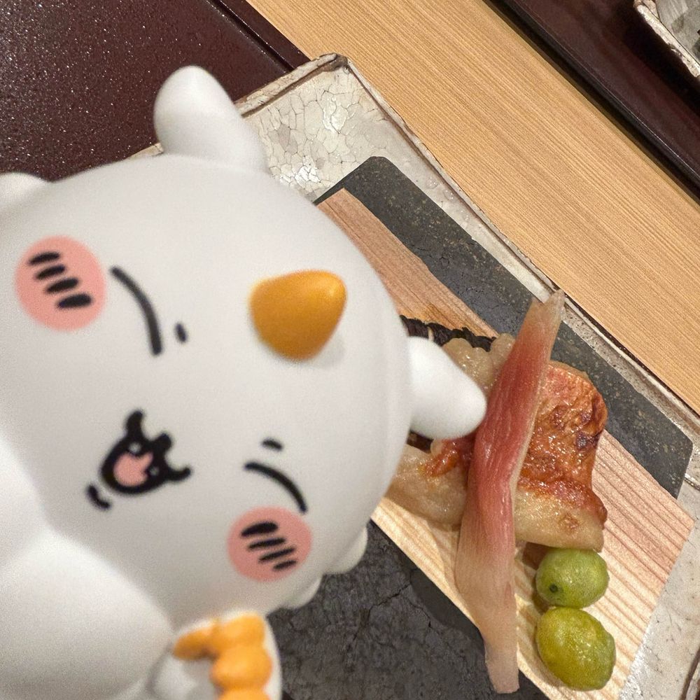 ぽんちゃん