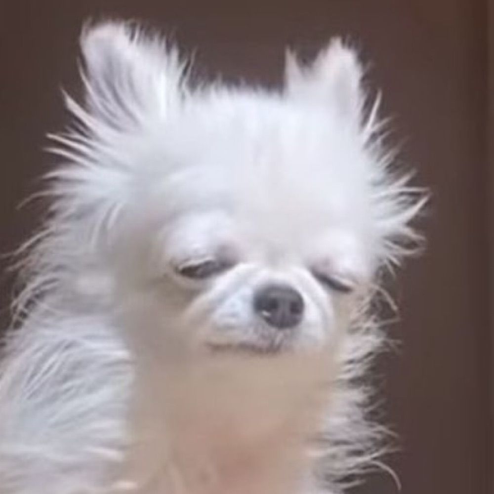 노낫