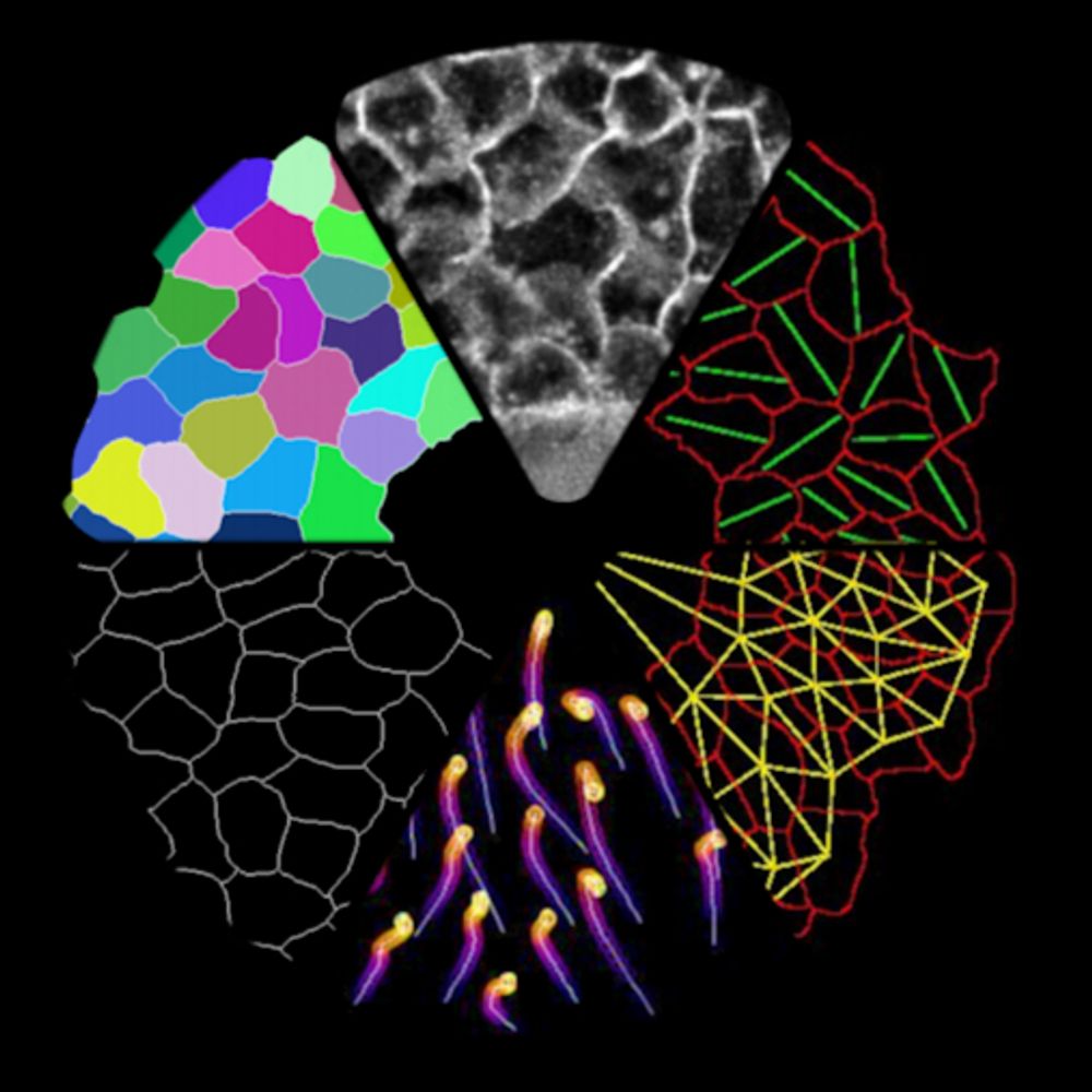 UCL BioImage Interest Group