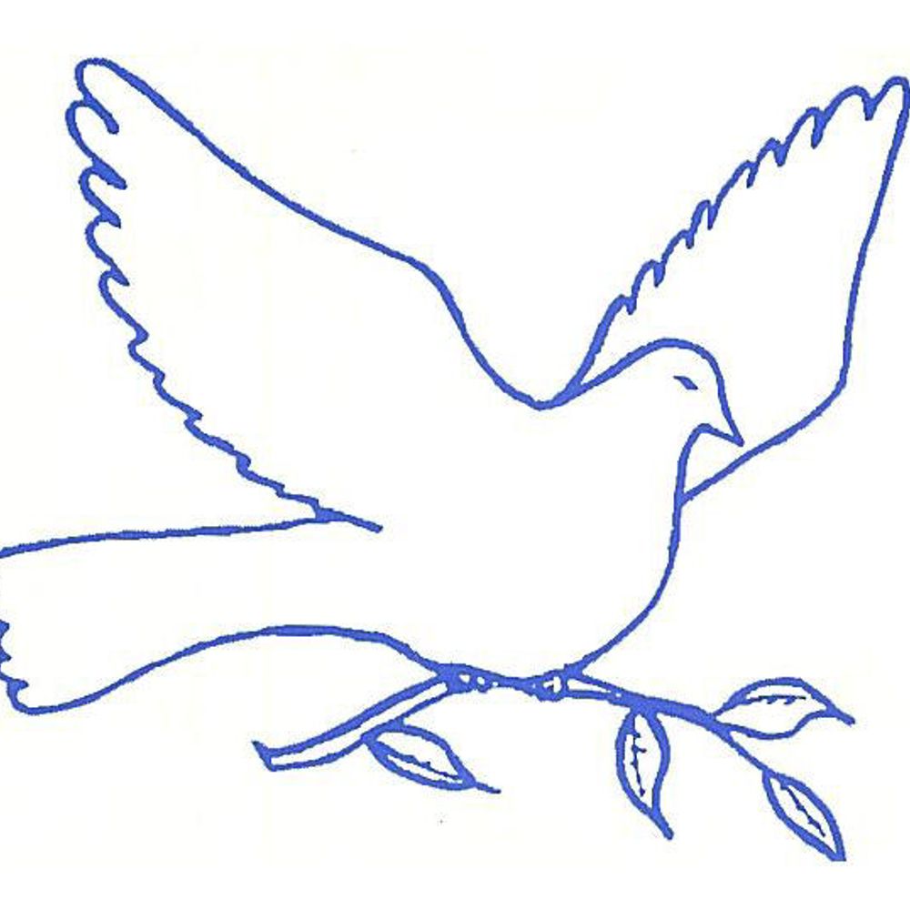 The Dove Centre
